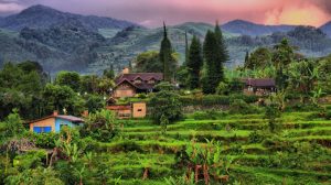 4d3n-jakarta-puncak-bandung-go