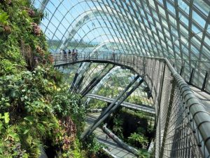 gardens-by-the-bay-singapore-1