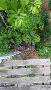 img_2015-04-28-220039-576x1024
