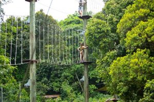 mega-adventure-park-4