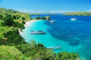 pink-beach-flores-indonesia