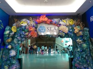 s-e-a-aquarium-18-min