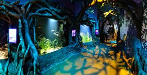 s-e-a-aquarium-8-min