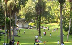 singapore-botanic-gardens-3
