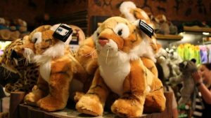 singapore-zoo-1-2