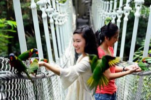 jurong-bird-park-1