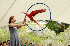 jurong-birdpark-2