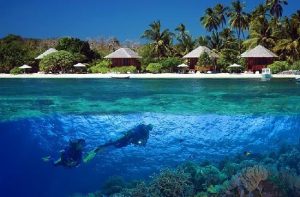 wakatobi-s-spectacular